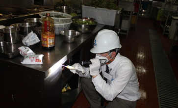 灭老鼠产品展示